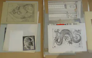 Gerard Bergman - diverse kopen? Bied vanaf 50!