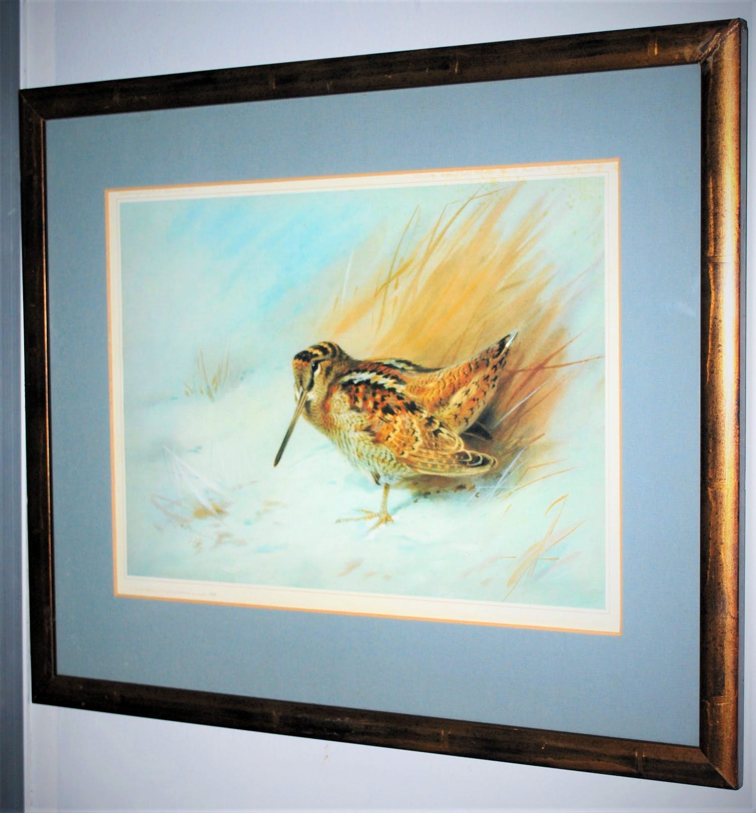 Archibald Thorburn - Houtsnip in de winter - oplage 159/500 - fraai ingelijst - incl. boek! verkocht voor € 50!