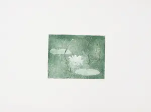 Ineke Smeets - Ets en aquatint, Waterlelie kopen? Bied vanaf 1!