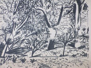 Ed Dukkers - Bomenrijk landschap - Litho kopen? Bied vanaf 1!