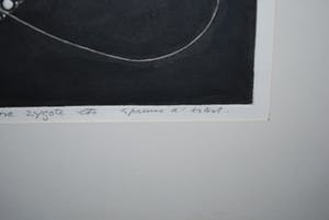 Harry van Kruiningen - epreuve d'artist - ets met reliëf - vrijkomende cel uit een zygote kopen? Bied vanaf 75!