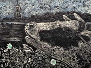 Arja van den Berg - linosnede - 'Koe in landschap' - 1992 kopen? Bied vanaf 80!