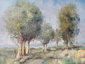 Louis Henno - natuurzicht in de buurt van Sluis kopen? Bied vanaf 300!