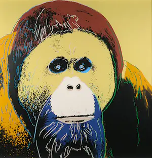 Andy Warhol - Orangutan uit de serie Endangered Species - Ingelijst (Groot) kopen? Bied vanaf 1!