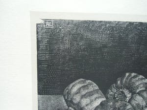 Anna Egter van Wissekerke - STILLEVEN MET ZAADDOZEN EN FLESJE kopen? Bied vanaf 25!