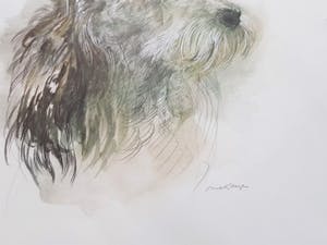 Niet of onleesbaar gesigneerd - Lot van 6 Verschillende prentjes - Gesigneerd kopen? Bied vanaf 1!