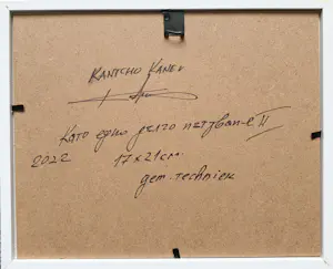 Kantcho Kanev - Kamo en Kato kopen? Bied vanaf 250!