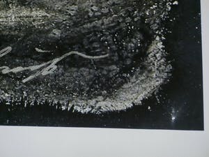 Ernst Fuchs - " Vorhang auf " - Giclée op linnen 2012 - handgesigneerd - 0plage 300 kopen? Bied vanaf 99!