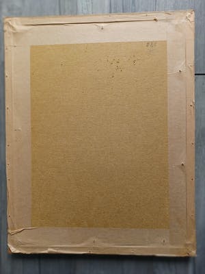 Niet of onleesbaar gesigneerd - Brug over rivier. kopen? Bied vanaf 1!