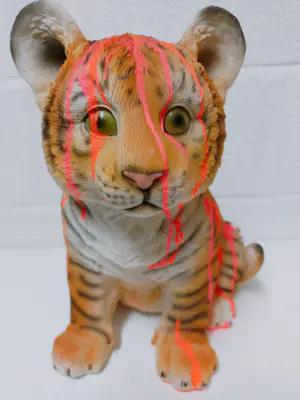 Hannes D'Haese - Tijger welp kopen? Bied vanaf 1!