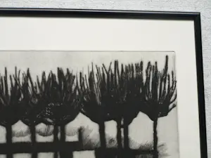 Uto Hogerzeil - Ingelijste ets en aquatint , Amstelpark, Amsterdam – 1981 – Lijst, 41 x 51 cm. kopen? Bied vanaf 60!