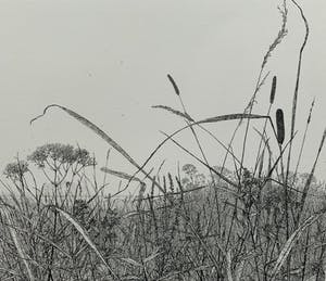 Reinder Homan - ets - 'Landschap met Oude Ijsselbrug - 1992 kopen? Bied vanaf 140!