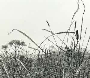 Reinder Homan - ets - 'Landschap met Oude Ijsselbrug - 1992 verkocht voor € 140!
