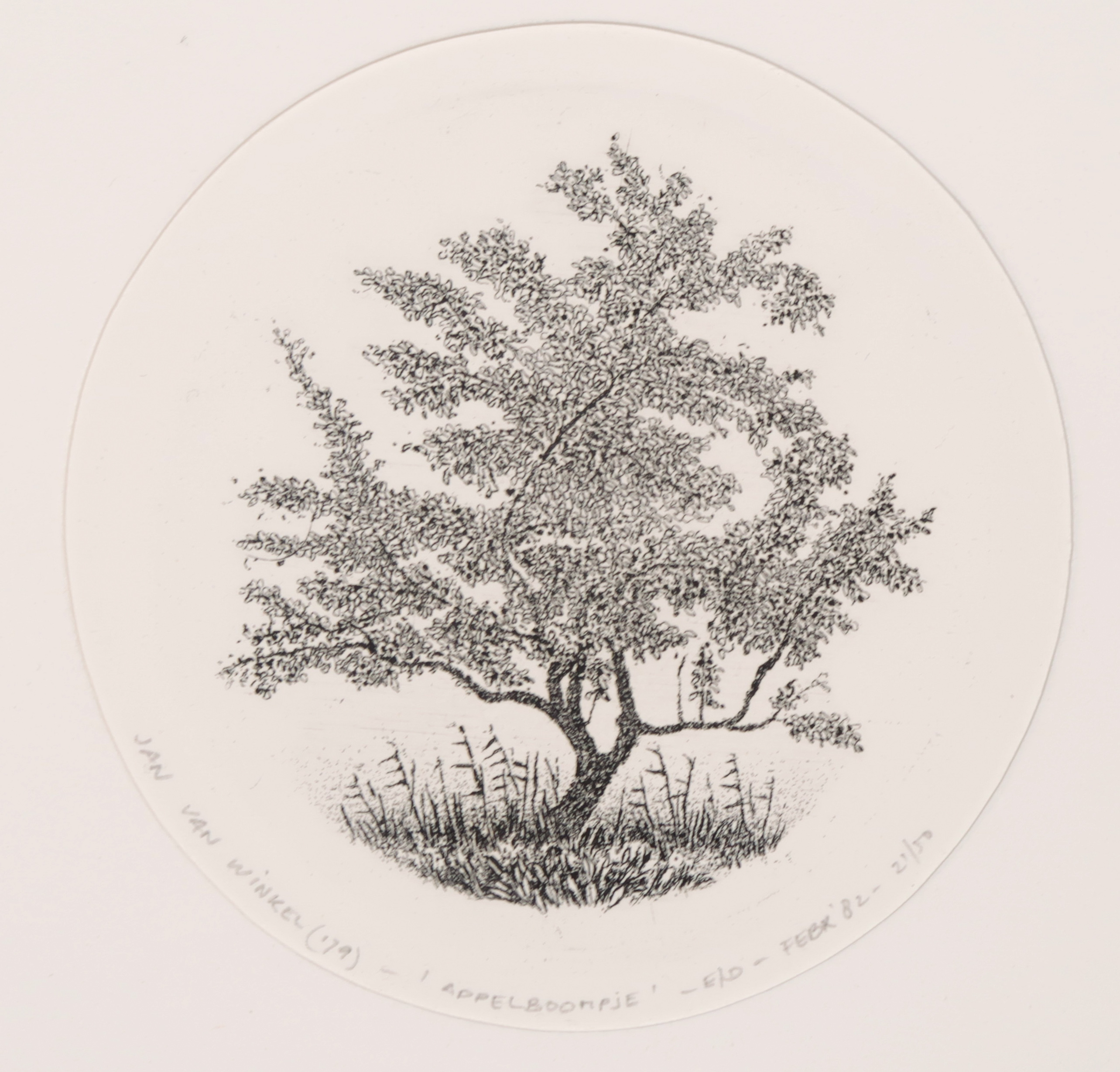 Jan van Winkel - Ets, Appelboompje kopen? Bied vanaf 20!