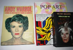 Andy Warhol - 3 boeken Pop-Art kopen? Bied vanaf 50!