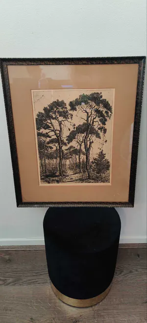 Suze de Lint - Eigendruk ets kopen? Bied vanaf 29!