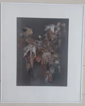 Jan Miechels - boeket kopen? Bied vanaf 39!
