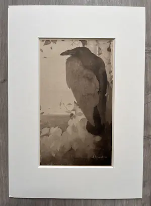 Jan Mankes - Originele Heliogravure Raaf in Berkenboom 1923 kopen? Bied vanaf 155!