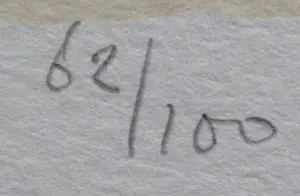 Kees Salentijn - Zeefdruk -1997 kopen? Bied vanaf 55!