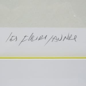 Fon Klement - Les Fleurs Jaunes kopen? Bied vanaf 190!