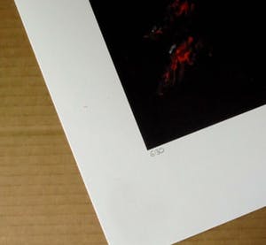 Armando - Blume rot - 2017 - Giclèe op handgeschept papier - handgesigneerd - oplage 30 kopen? Bied vanaf 139!