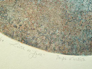 Marion Bloem - impress. d'Artiste ets & aquatint "livre de Jade" kleine oplage (50) gesigd kaufen? Bieten Sie von 42!