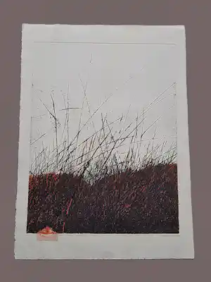 AcheterAndrzej Pietsch - Große handkolorierte Radierung "The Black - Red" sehr limiet. auflage (50)? Enchérissez de 92!