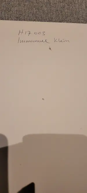 Immanuel Klein - La pratique kopen? Bied vanaf 1!