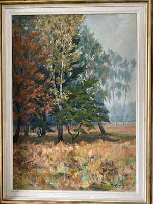 Jan van Campenhout - Sous-Bois en automne kopen? Bied vanaf 65!
