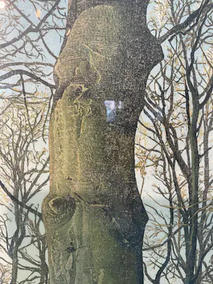 Siemen Dijkstra - De Bork - Beuk no 2 kopen? Bied vanaf 3000!