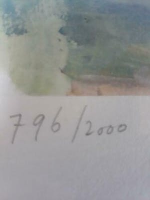 Diederik van Leeuwen - zeer fraaie zeefdruk , ingelijst en gesigneerd kopen? Bied vanaf 15!