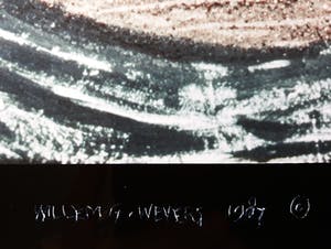 Willem Wevers - Moving Picture, C-print kopen? Bied vanaf 40!