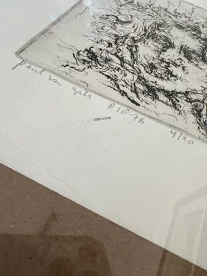 Paul van Gils - Waanzin kopen? Bied vanaf 100!