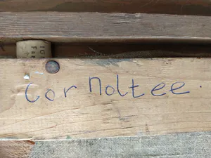 Cor Noltee - Impressionistisch boszicht kopen? Bied vanaf 90!