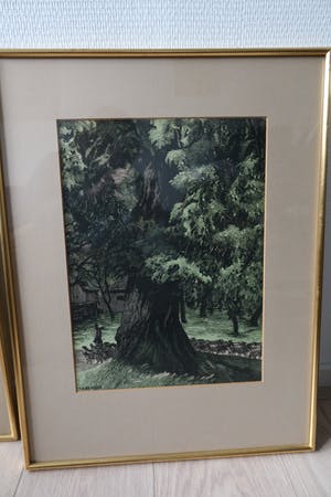 Franz Hein - Bomen (1) kopen? Bied vanaf 30!