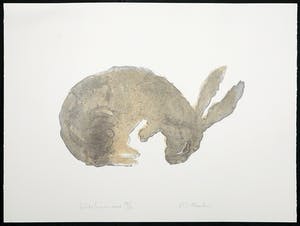 Marianne Aartsen - Litho, Spring in 't veld kopen? Bied vanaf 1!