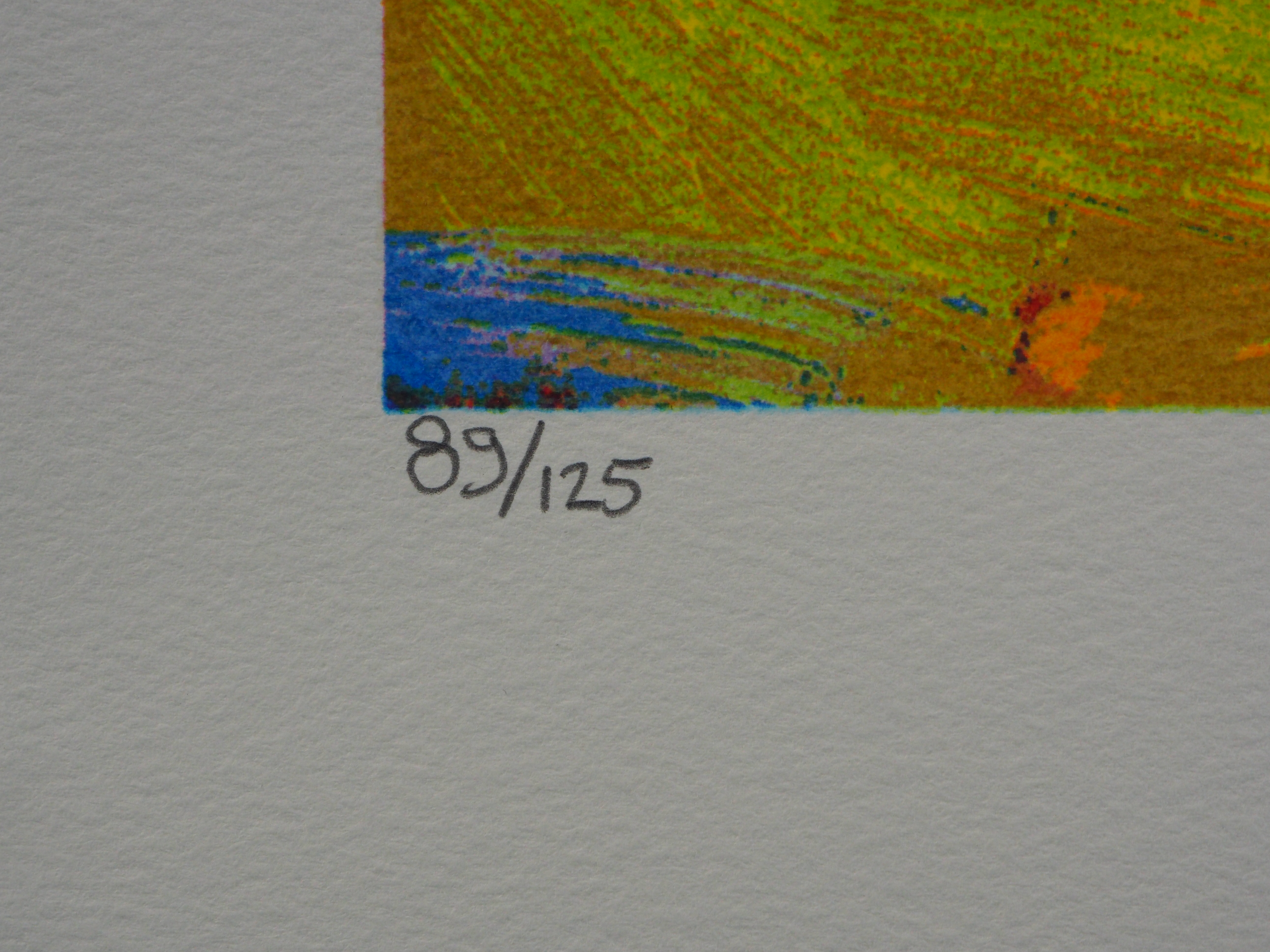 Jentsje Popma - Zomer kopen? Bied vanaf 60!