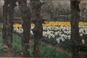 Anton L. Koster - Bloembollenveld bij de "Glip" (Heemstede) kopen? Bied vanaf 1950!