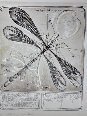Rene Glaser - Zinklitho - de Koppel libel met zijn staart-propeller kopen? Bied vanaf 15!