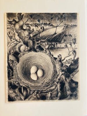 Court Veldkamp - landschap kopen? Bied vanaf 35!