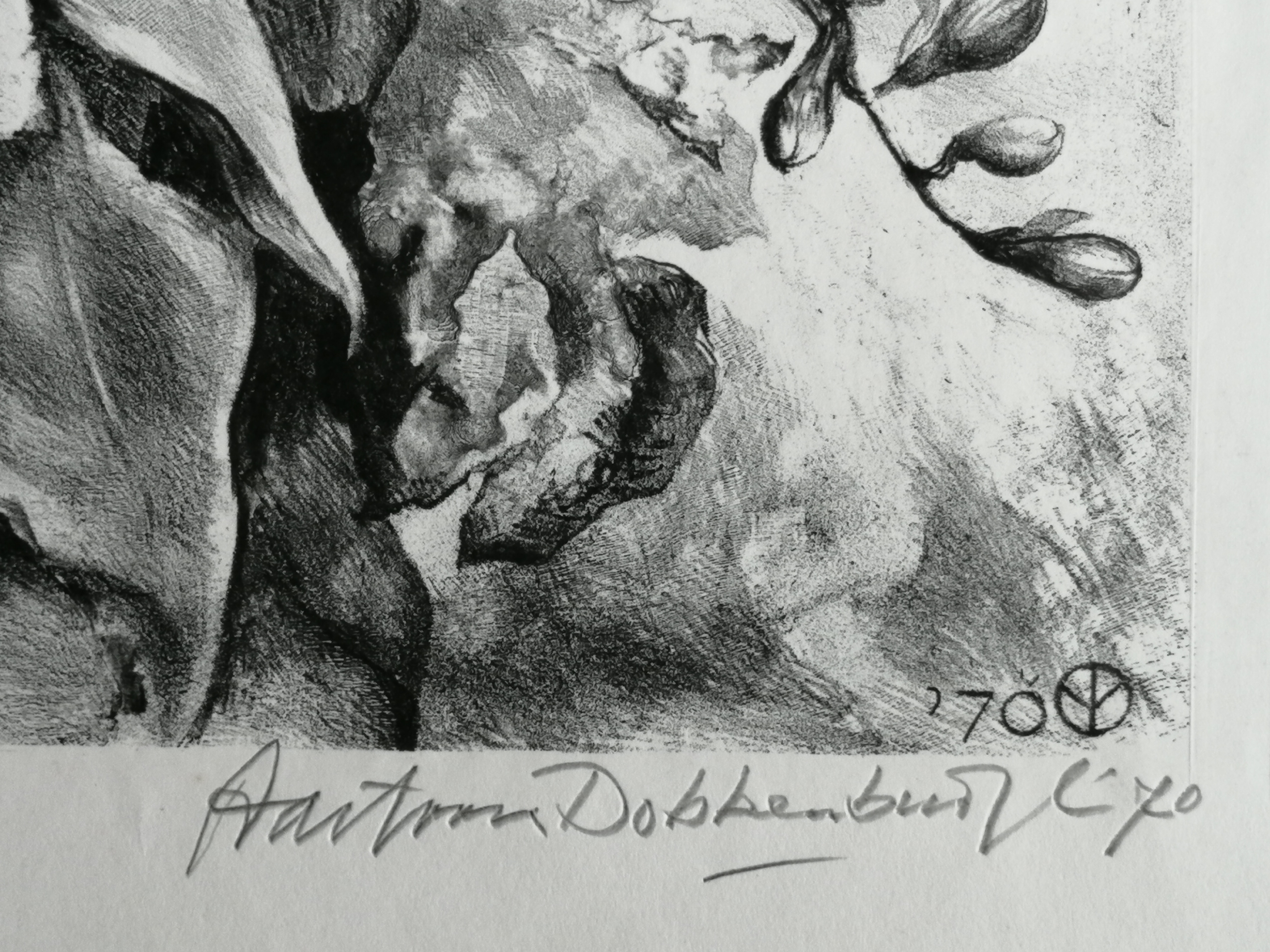 Aart van Dobbenburgh - Boeket bloemen kopen? Bied vanaf 20!