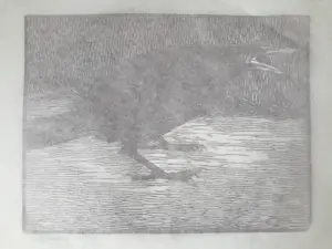 Jan Mankes - Originele Houtsnede - Schreeuwende Kraai 1918 kopen? Bied vanaf 375!