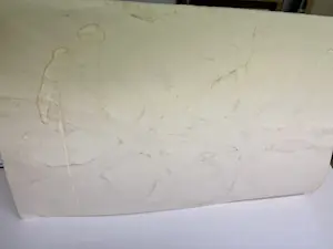 Jan Altink - Ballerina kopen? Bied vanaf 180!