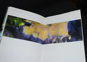 Ai Weiwei - memoires + Zao Wou Ki + 2 anderen Chinese kunst kopen? Bied vanaf 65!