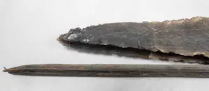 Willy van Blokland - geen titel kopen? Bied vanaf 25!