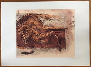 Wilfried Pas - Grote gesigneerde zeefdruk - 7/10 - Kleine oplage! - 1974 - Zelden aangeboden! kopen? Bied vanaf 55!