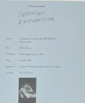 Corneille - Studie van een naakt - met echtheidscertificaat kopen? Bied vanaf 50!