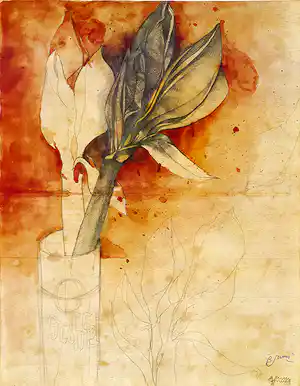 Bruno Bruni - Kleurenoffset-litho AMARYLLIS Handgesigneerd verkauft für € 49!