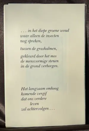 Ab Steenvoorden - Ons zelf spiegelen kopen? Bied vanaf 67!