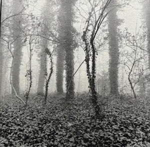 Ralph Janowski - 2x zeefdruk kopen? Bied vanaf 32!